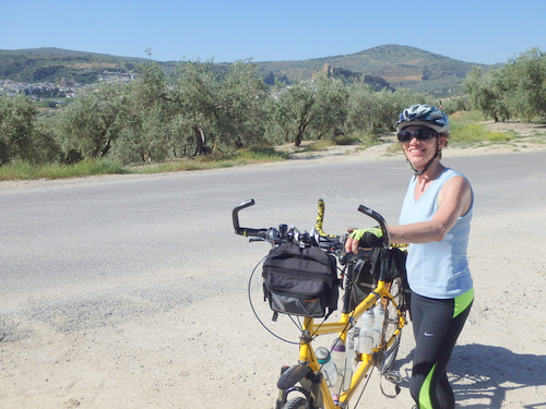 Terry and the Bee on the road to Montefr&iacute;o.
